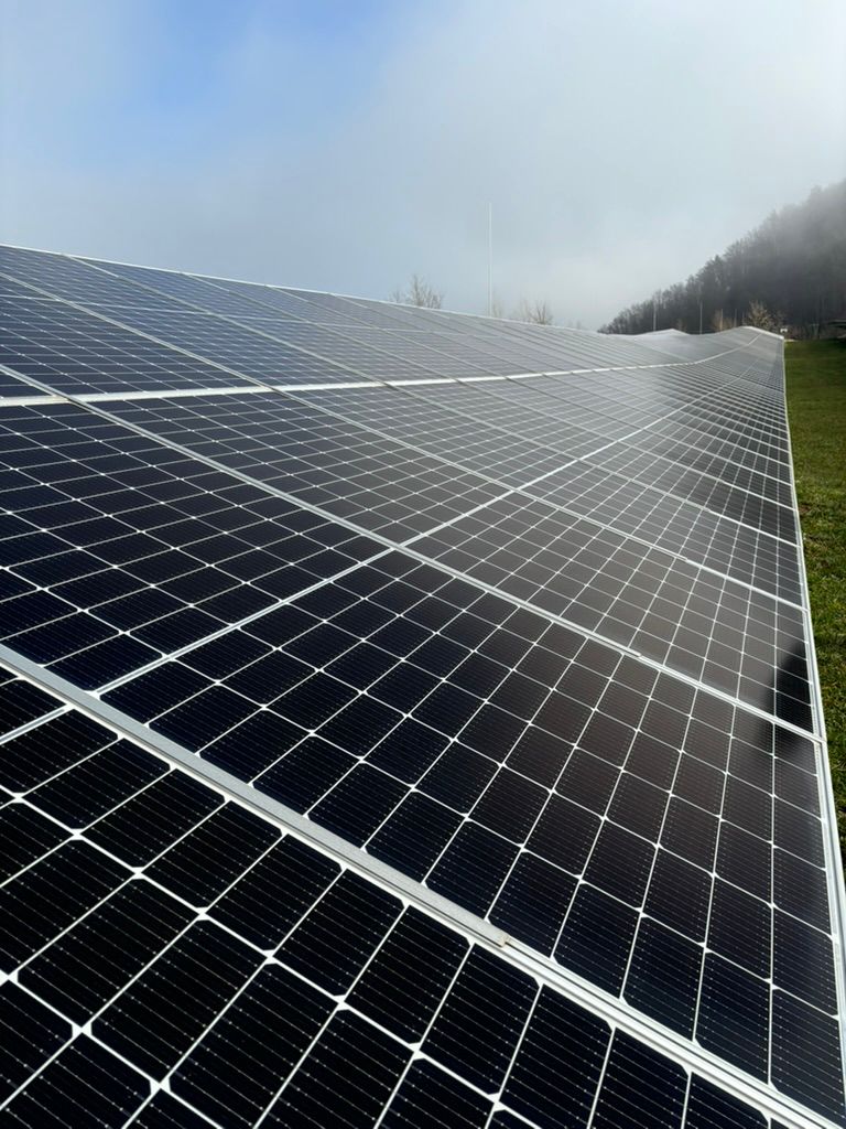 Citizen Science and Climate Change Mitigation Working Group